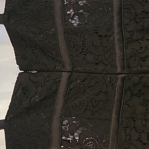 Express sexy lace dress 6 - Picture 6 of 12